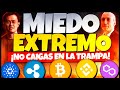 🚨 🚨 CRASH en las CRIPTOMONEDAS - Todo HA TERMINADO?  🚨🚨