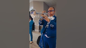 Thumbnail of #trumpet #mariachi