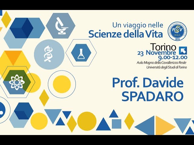 Prof. Davide Spadaro