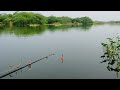 how to catch fish || very easy way to catch || village fishing.