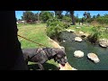 ARTURO TRAINER CAM (EPISODE 18) WATCH ROSIE THE BIG DOG GET TRAINED IN ORANGE COUNTY CALIFORNIA ARTURO TRAINER CAM (EPISODE 18) WATCH ROSIE THE BIG DOG GET TRAINED IN ORANGE COUNTY CALIFORNIA