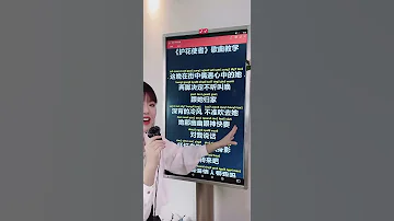 护花使者 歌曲教学 慢速跟读 会有惊喜 粤语 粤语教学 