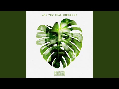 Are You That Somebody - Unified Highway