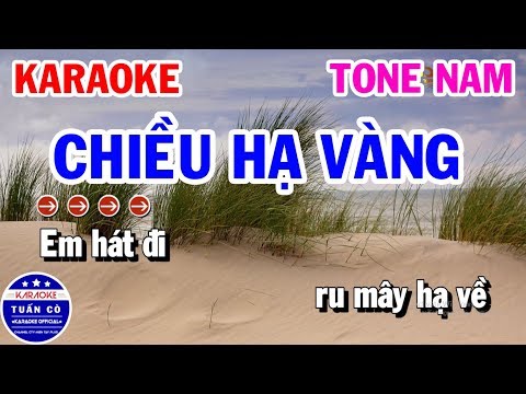 Karaoke Chiều Hạ Vàng Tone Nam D#m Nhạc Sống | Karaoke Tuấn Cò