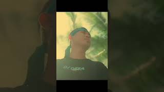 Dj Desa   Not You Alan Walker 