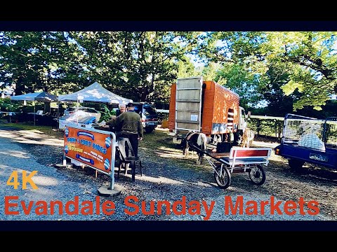 Evandale Sunday Markets 4K ｜Launceston - Walking Tour