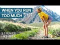 Ultramarathon Challenges and Experiences