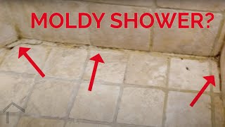 Moldy Shower? Why Showers Can Get Moldy  Three Mistakes to Avoid When Building Yours