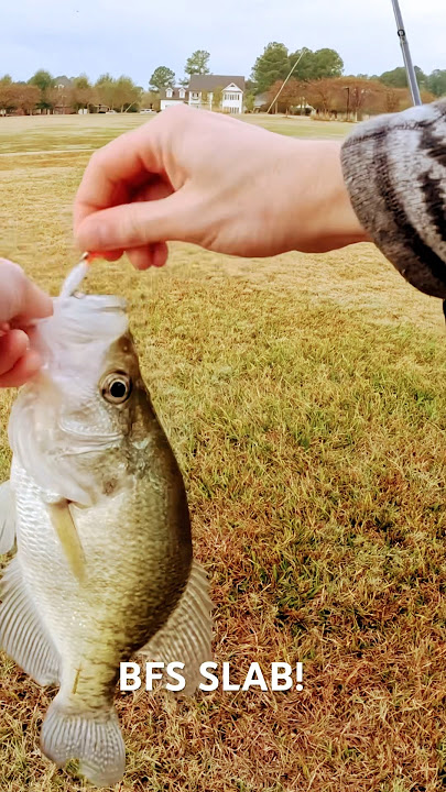 Testing The JENKO BFS ROD On The Water! (BFS Rod for Crappie!) 