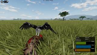 Eagle Steals Lion Kill Wild Savanna