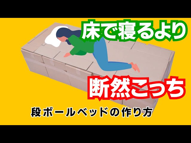 ダンボールベッド