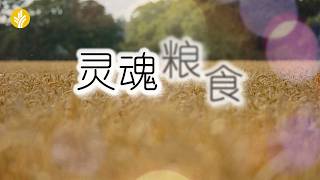 March 17th Our Daily Bread article and video - Soul Food