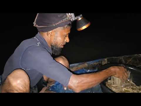 গভীর রাতে পেলাম তাজা চিংড়ি | সিজন ৩৮ | পর্ব ০৩ | লবণ জলের জীবন | Mohsin ul Hakim