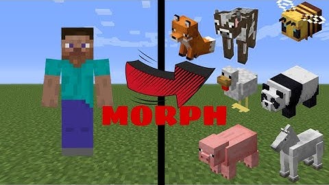 How to Morph Into Any Mob in Minecraft (Tutorial)
