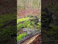 what I see vs what I take tit edition