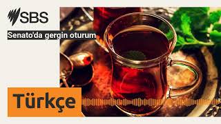 Senatoda Gergin Oturum Sbs Turkish - Sbs Türkçe