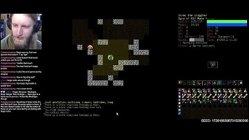 DCSS: Win With Every Species - Ogre Part 2 | Dungeon Crawl Stone Soup 0.28