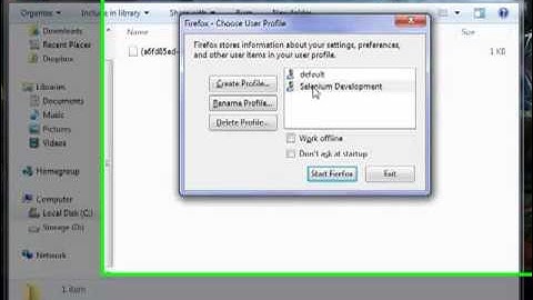 CSC302 E1 Screencast