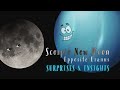 Scorpio New Moon & Uranus Insights for All Signs ✨