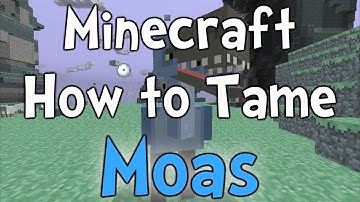 Minecraft - Aether Mod How To Tame Moas