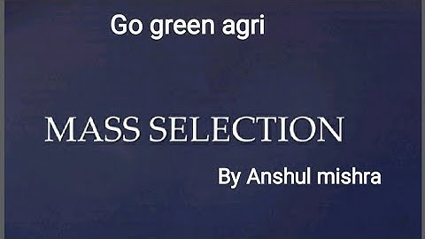 Mass selection (plant Breeding methos) part- 2 by Anshul mishra
