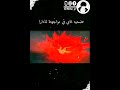 مواجهت غاي ضد مادارا غضب غاي غاي مادارا قتالات انمي ناروتو Nmusic Otakue Naruto Onepiec 3blu P مواجهت غاي ضد مادارا غضب غاي غاي مادارا قتالات انمي ناروتو Nmusic Otakue Naruto Onepiec 3blu P