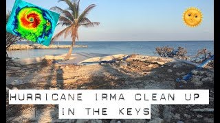 cleaning up the Florida Keys after Hurricane Irma | tarte talk
