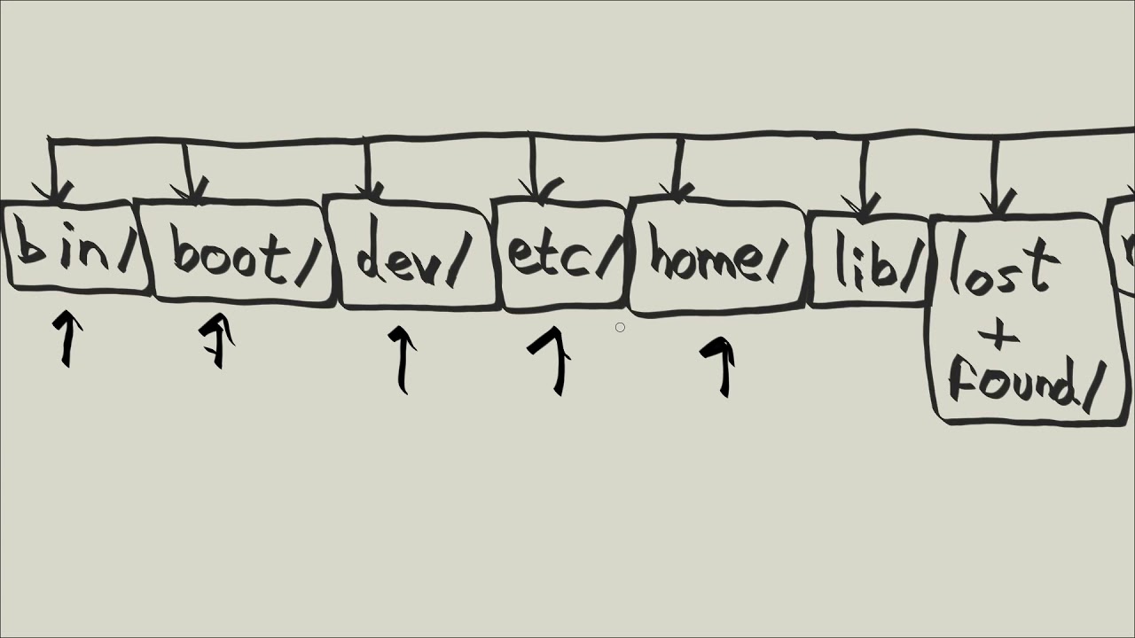 Linux Tutorial Series - 20 - Linux directory hierarchy - YouTube