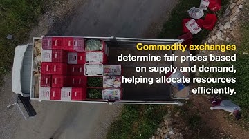 Roman Zenon Dawidowicz - Agricultural Commodity Trading Insights and Strategies