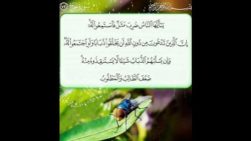 سورة الحج الآية ( 73 )