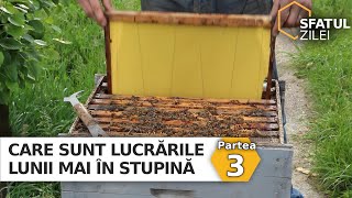 Care sunt lucrările lunii Mai în stupină - partea 3