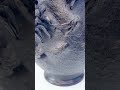 A Meiji bronze vase by Nobuhira