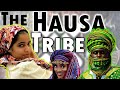 Discover the hausa people of west africa  origins genetics personality etc