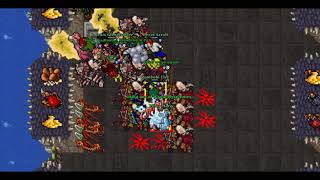 Tibia War Peloria {{Sleepers}} Part 1