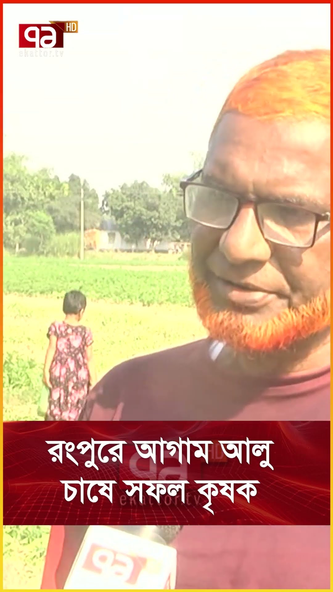 রংপুরে আগাম আলু চাষে সফল কৃষক