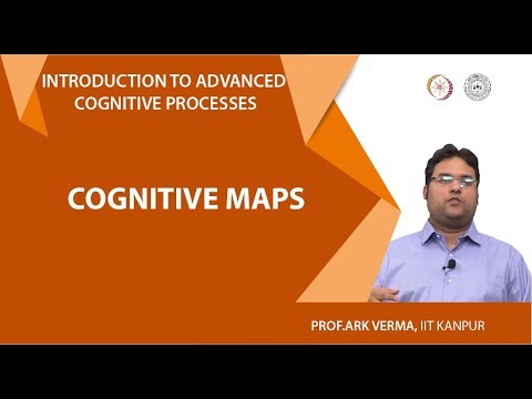 Cognitive Maps