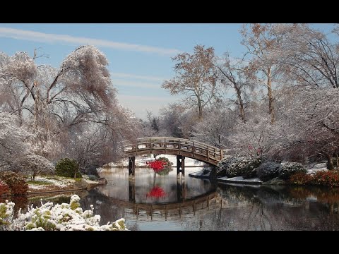 Vídeo: Pontes Na Paisagem Do Jardim