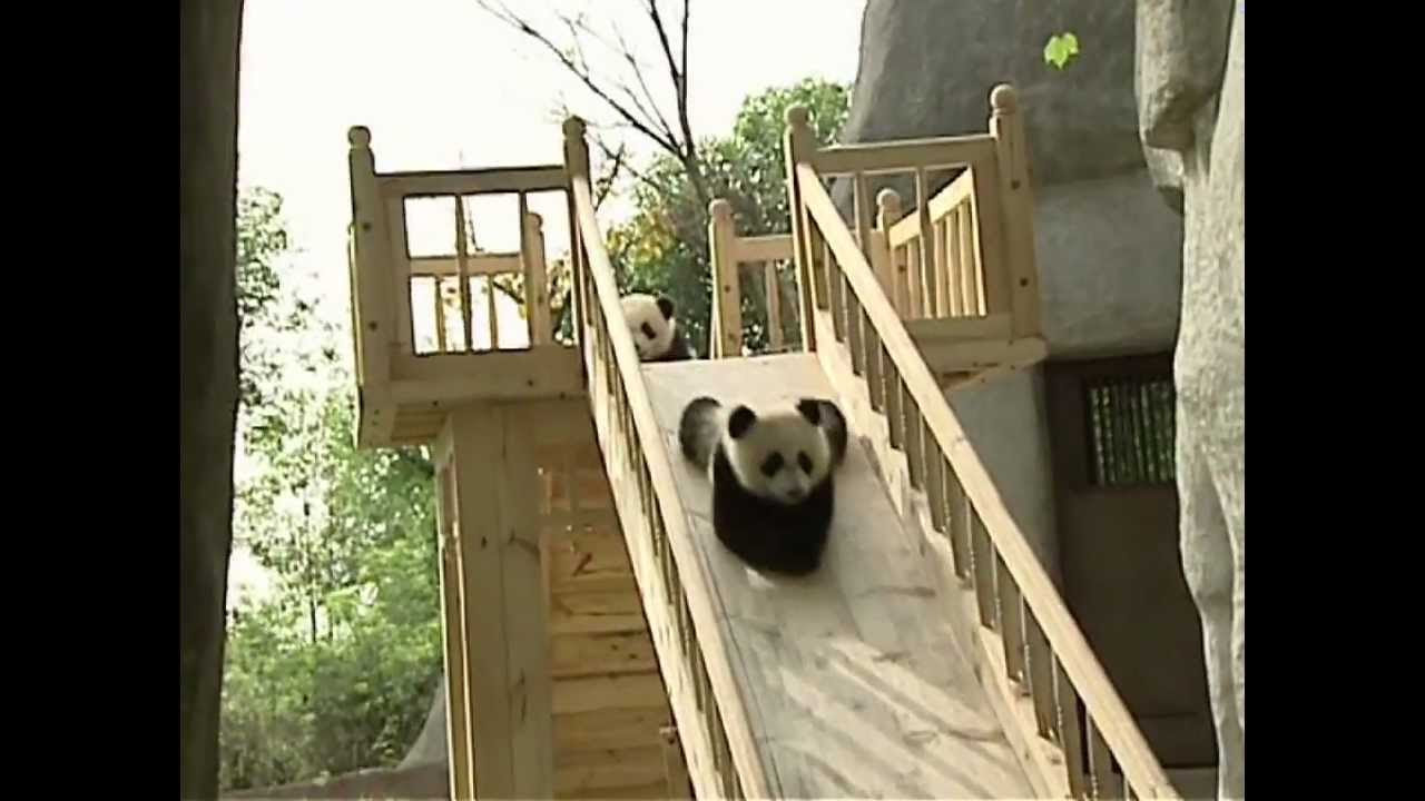 Alle lustigsten Szenen aus Kung Fu Panda 1 + 2 + 3 🐼🥊
