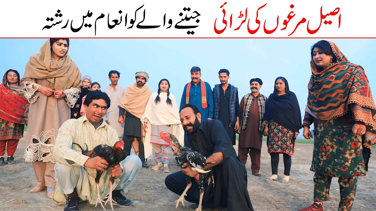 Comedy | Ramzi,Noori, Bilo ,Bhootna,Shoki, Sanam, Falak Sher,Funny Video  Rachnavi Tv