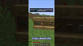 The NEW Minecraft Shelves...