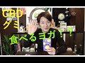食べるヨガ！？美味しすぎて食べすぎ注意！！本当に高濃度CBDグミって美味しいの！？
