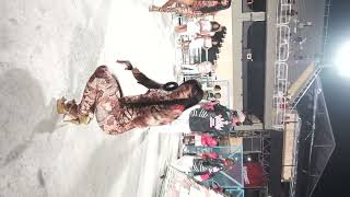 Carnaval Ensaio Tecnico Liesa Primeira Noite 89