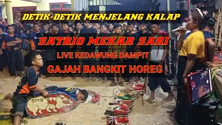 Detik-Detik Menjelang Kalap SATRIO MEKAR SARI LIVE KEDAWUNG DAMPIT