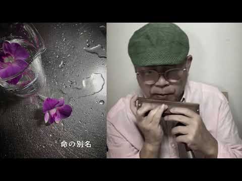 中島みゆきcover【命の別名】Tokunaga Sound：徳永延生71才のオールラウンドなハーモニカ吹きがクロマチックハーモニカで吹いてみた。