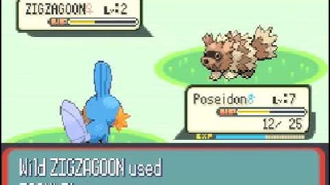 Pokemon Ruby/Sapphire Speedrun Part 1