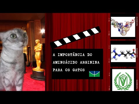 Grupo 06 - A importância do Aminoácido Arginina para os Gatos