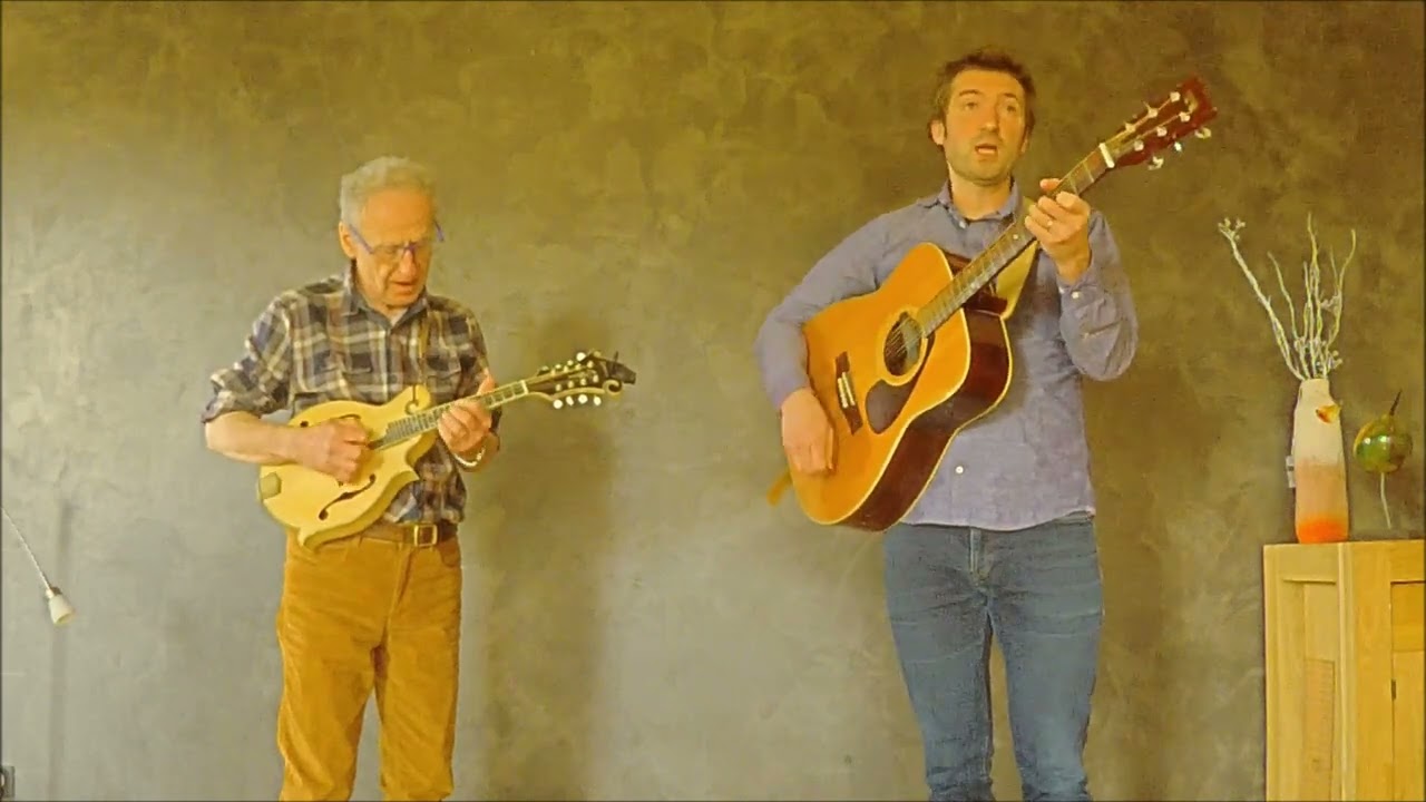 teaser "les chats lents qui passent "