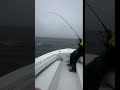 Topwater Tango! Striped Bass Surface Explosions with Reel Deal Fishing Charters of Cape Cod