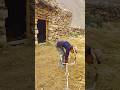 Mountain Life of the Mountain Residents
