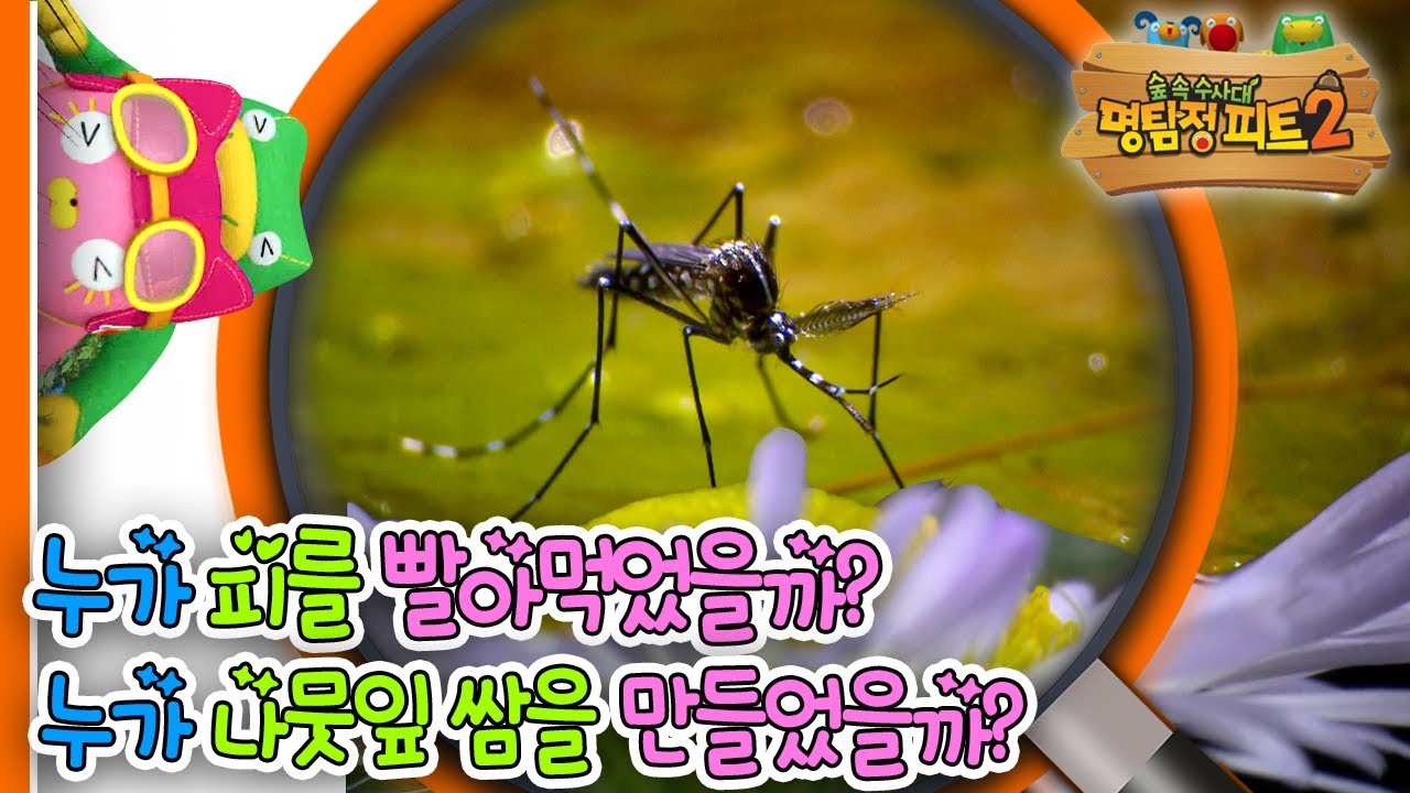 [EBS놀이터] 명탐정 피트2🔎｜누가 피를 빨아먹었을까?｜누가 나뭇잎 쌈을 만들었을까?｜숲 속 수사대｜동물｜식물｜곤충｜애니메이션